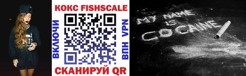 Купить закладки  Гвардейск  Cocaine FishScale 