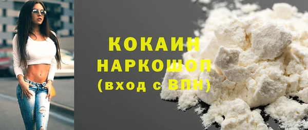 прущие грибы Беломорск