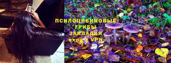 прущие грибы Беломорск