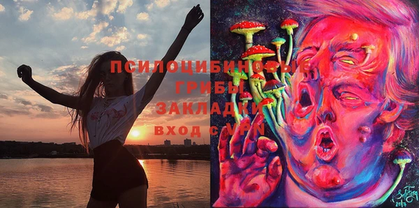 прущие грибы Беломорск