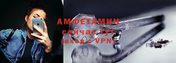 прущие грибы Беломорск