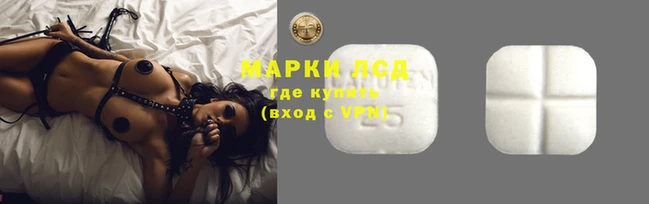прущие грибы Беломорск