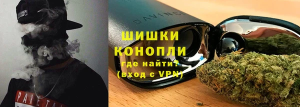 прущие грибы Беломорск