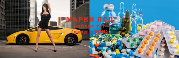 прущие грибы Беломорск