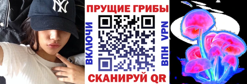 Псилоцибиновые грибы Cubensis  Купить закладки  Гвардейск 